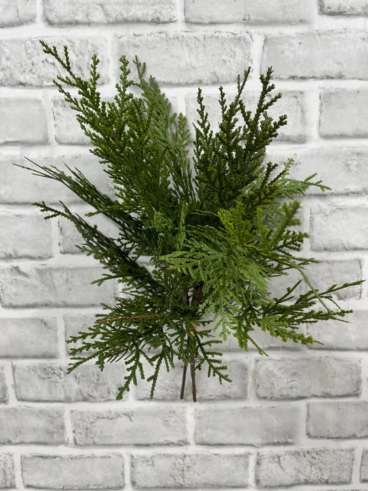 Northern White Cedar Bundle