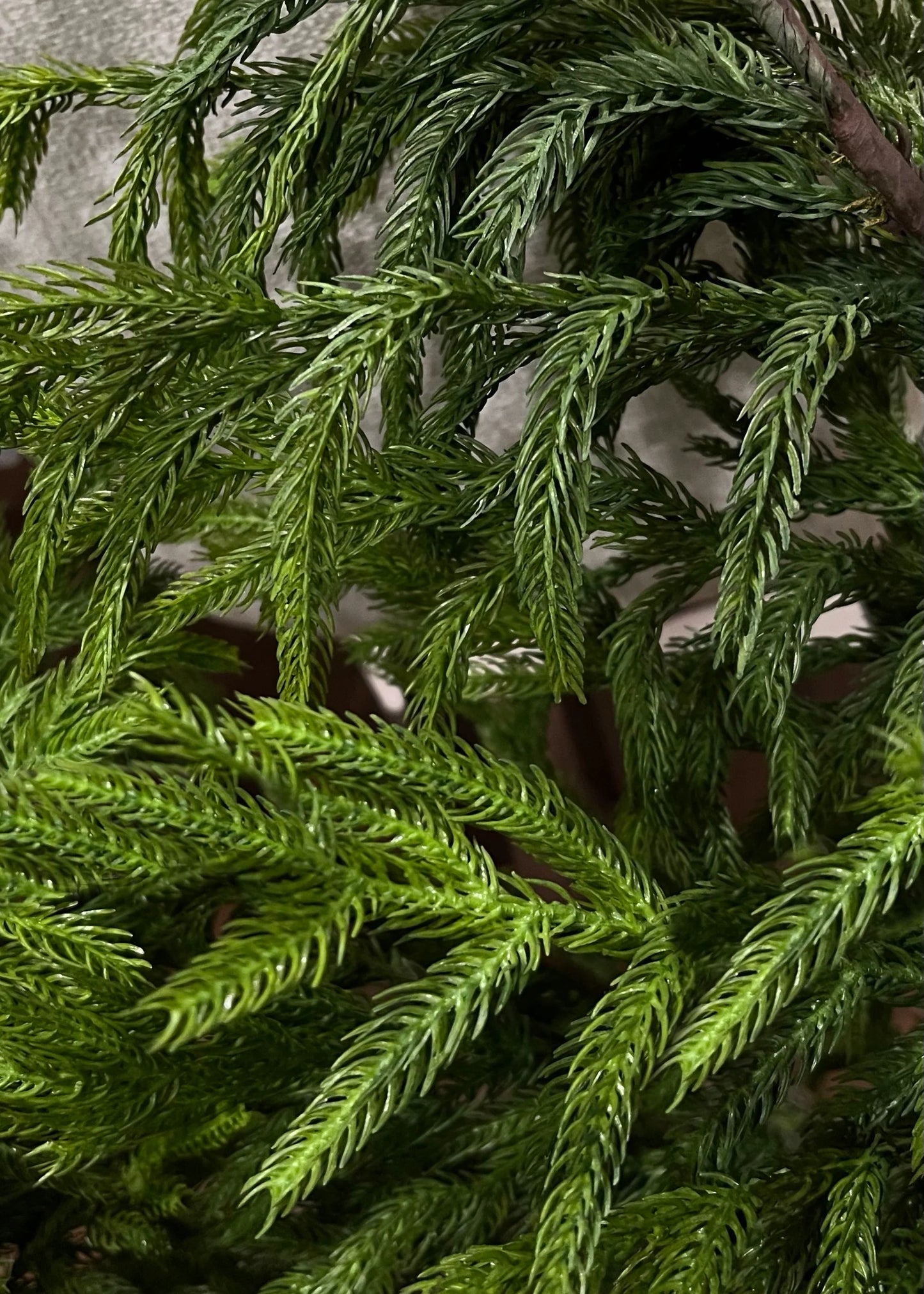 Fresh Touch Norfolk Pine Wreath | 22"
