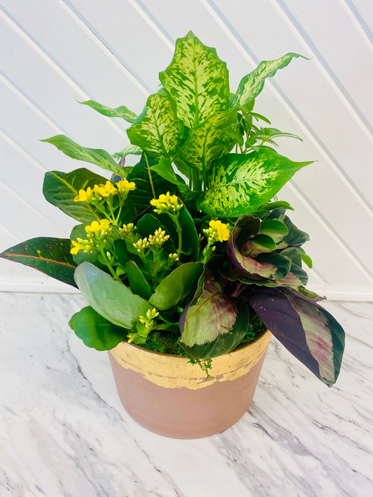Luxe Autumn Plant Arrangement