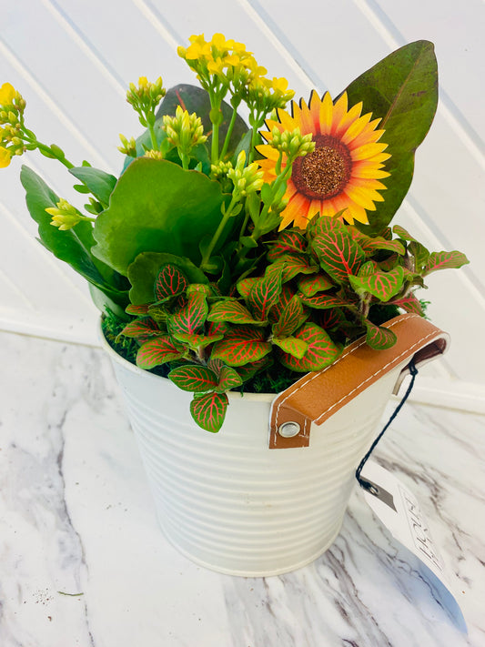 Autumn Plant Arrangement