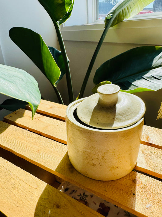 kitchen jar with lid | pottery