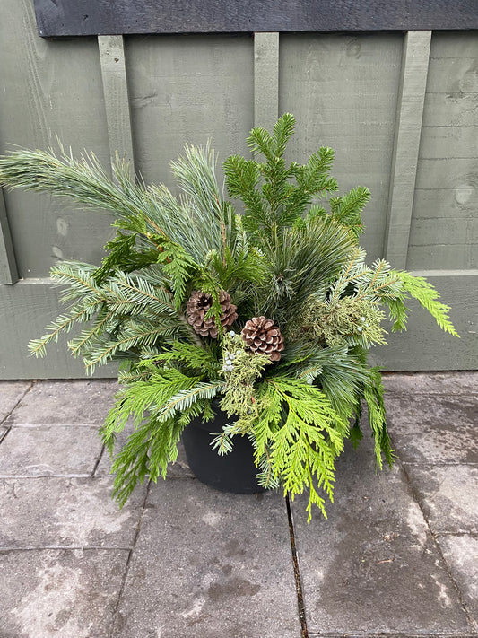Holiday Canvas Planter