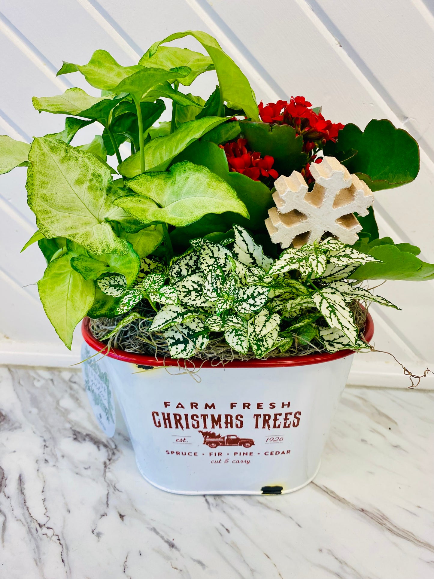 Oval Holiday Planter