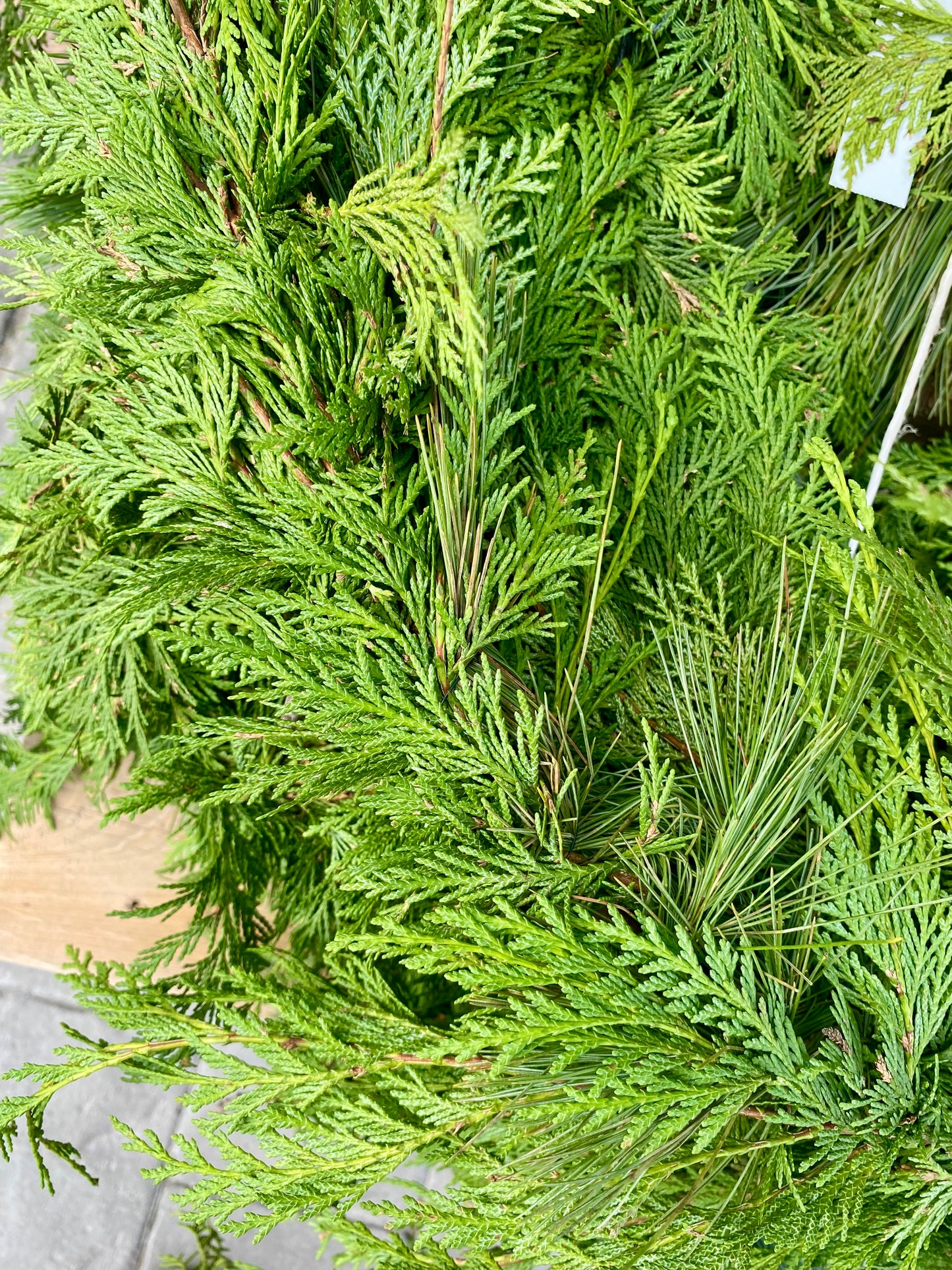 Cedar & Pine Mixed Garland
