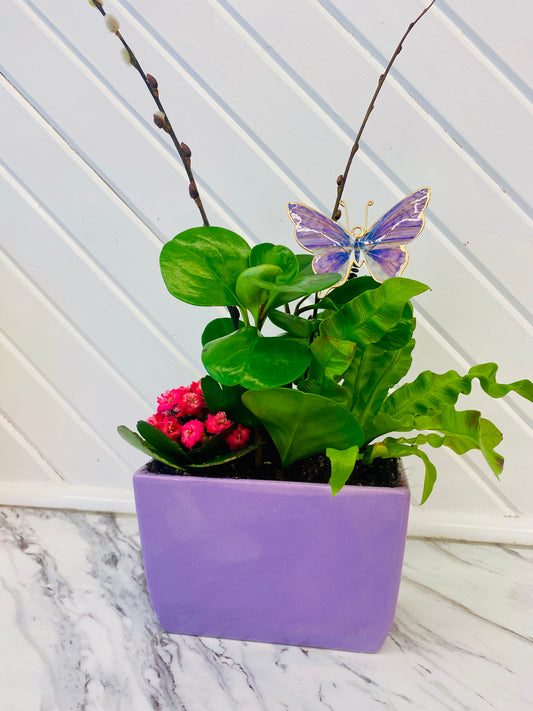 Spring Plant Arrangement