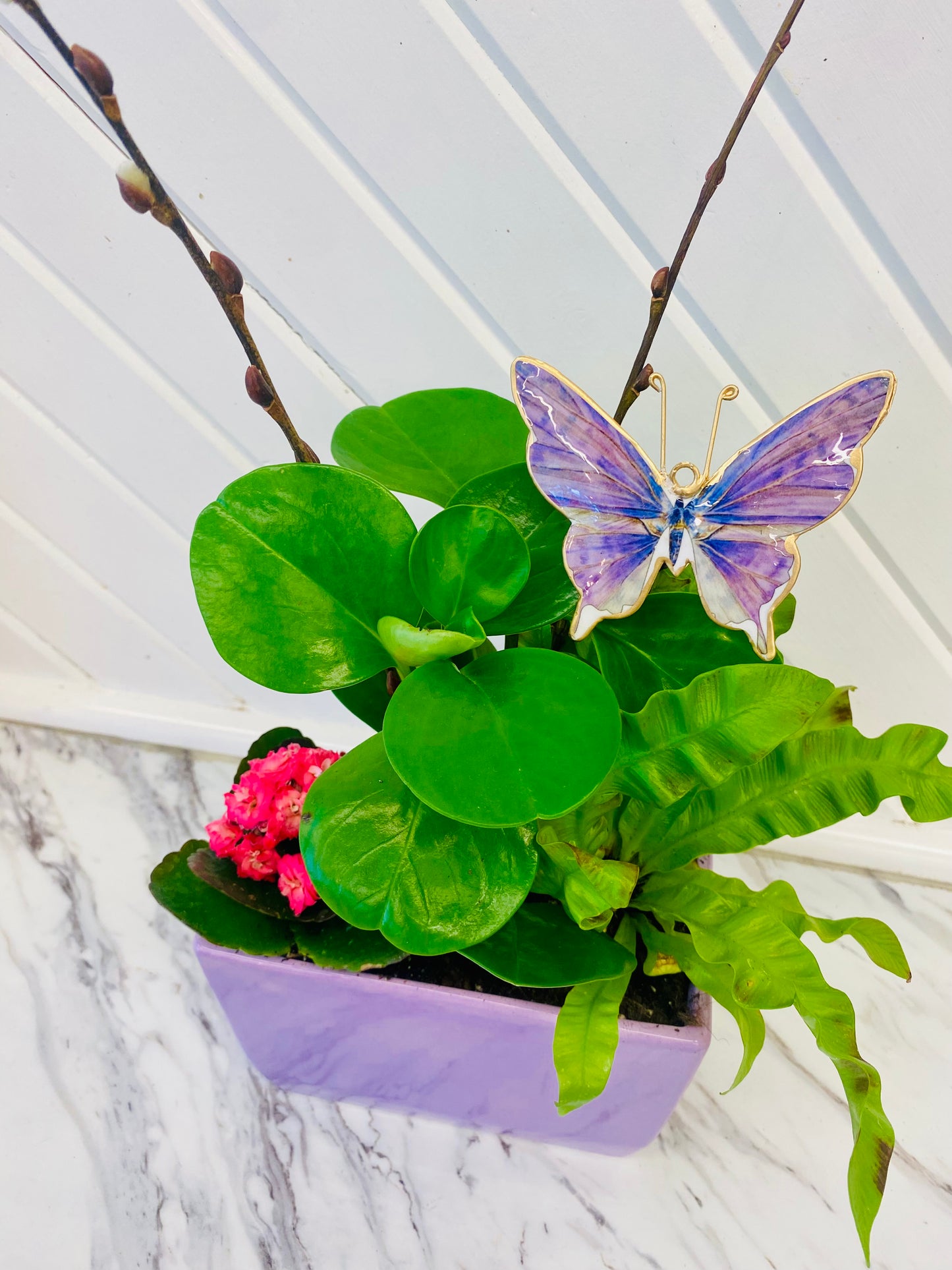 Spring Plant Arrangement