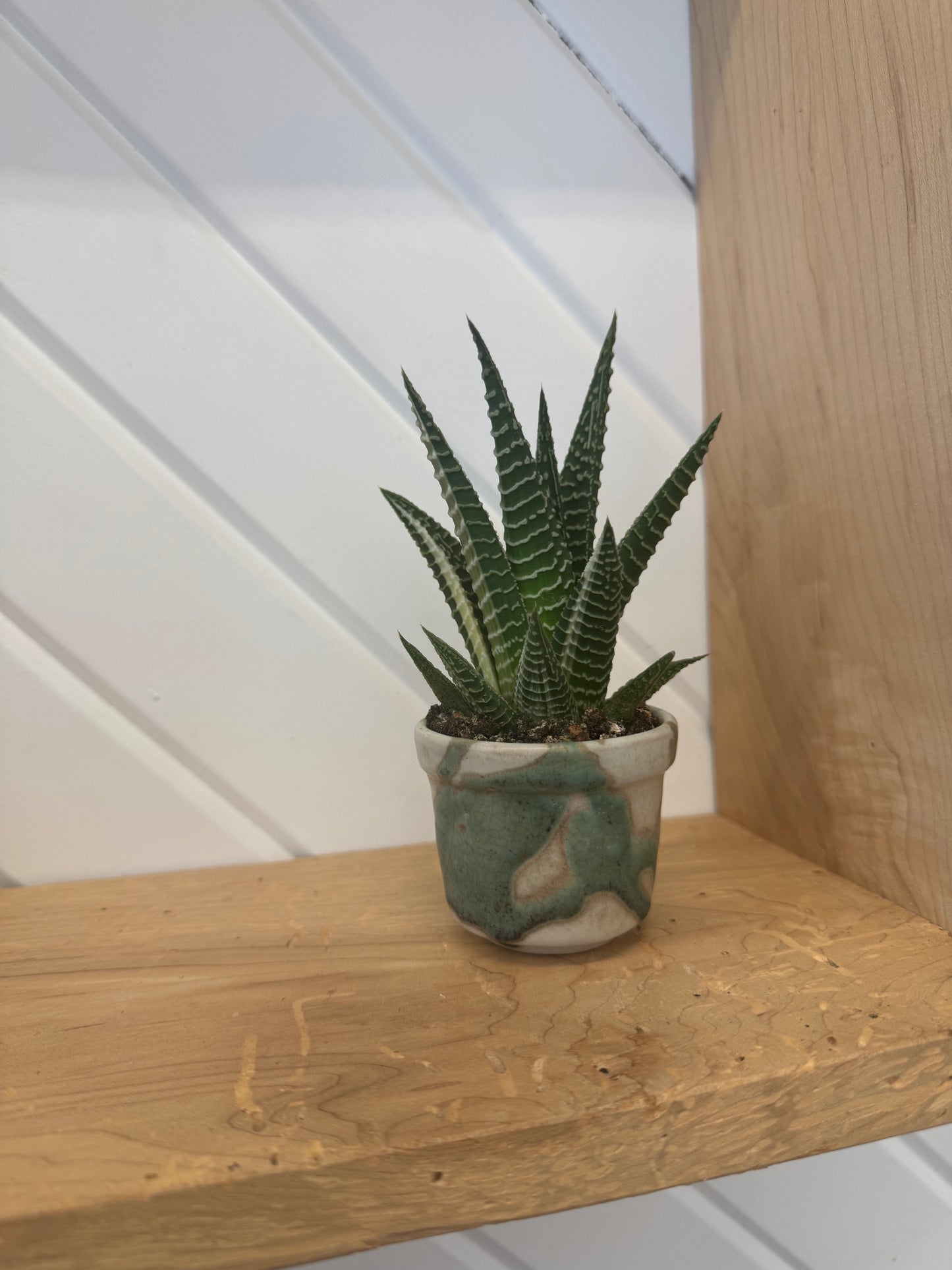 mini planter I pottery