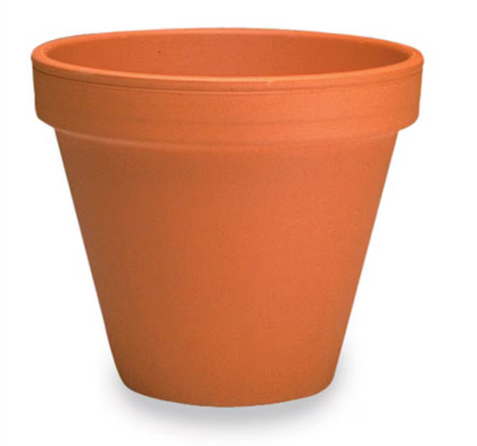 Terra Cotta Pot & Saucer