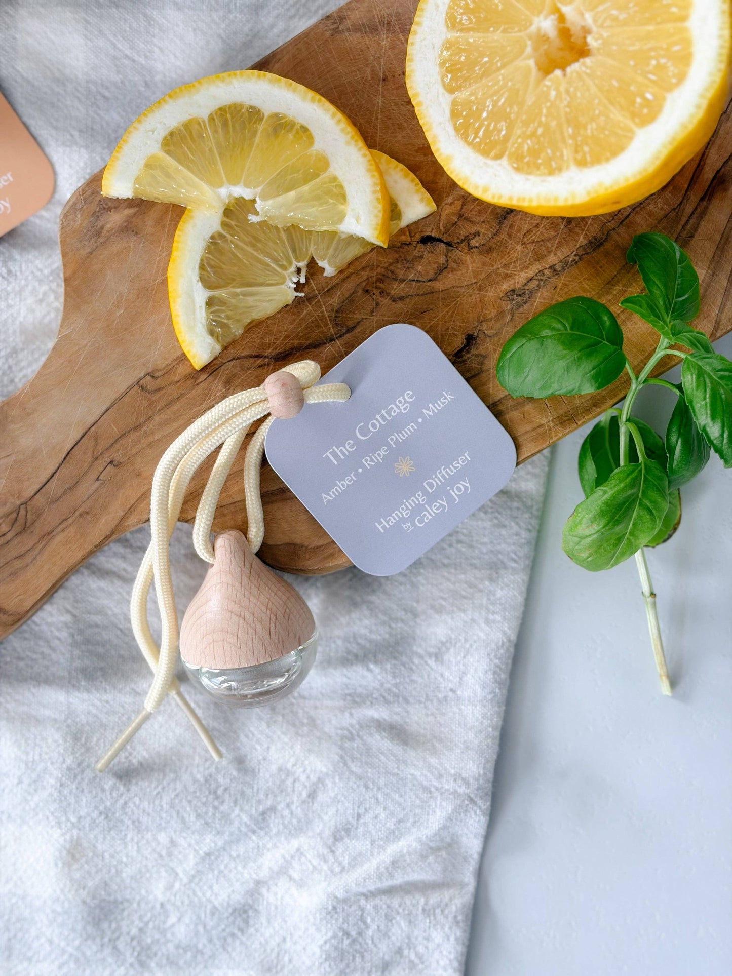Baja Sur | Hanging Car Diffuser