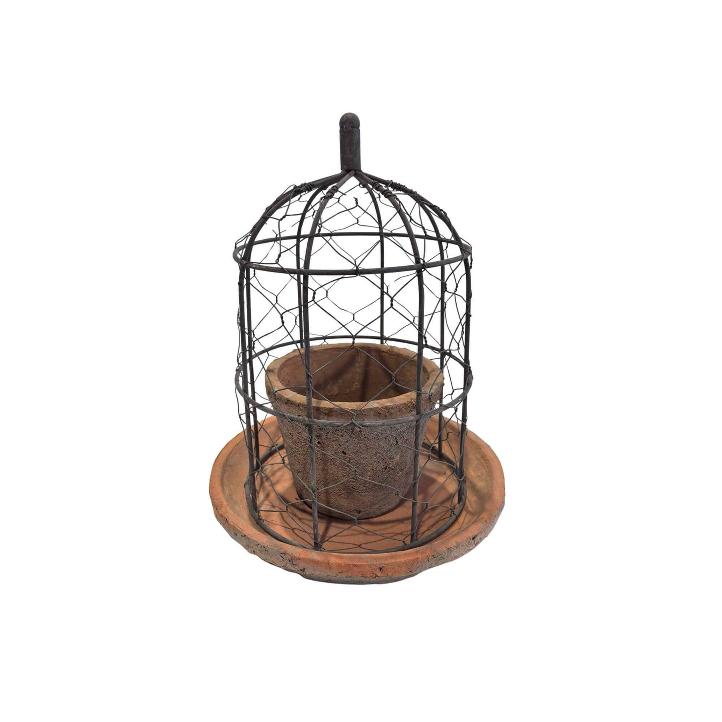 Wire Dome Garden Planter | Small
