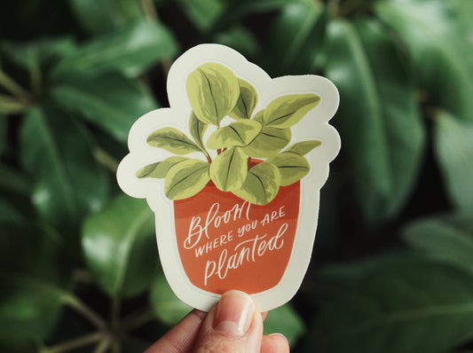 Sticker - Bloom Where You Are Planted