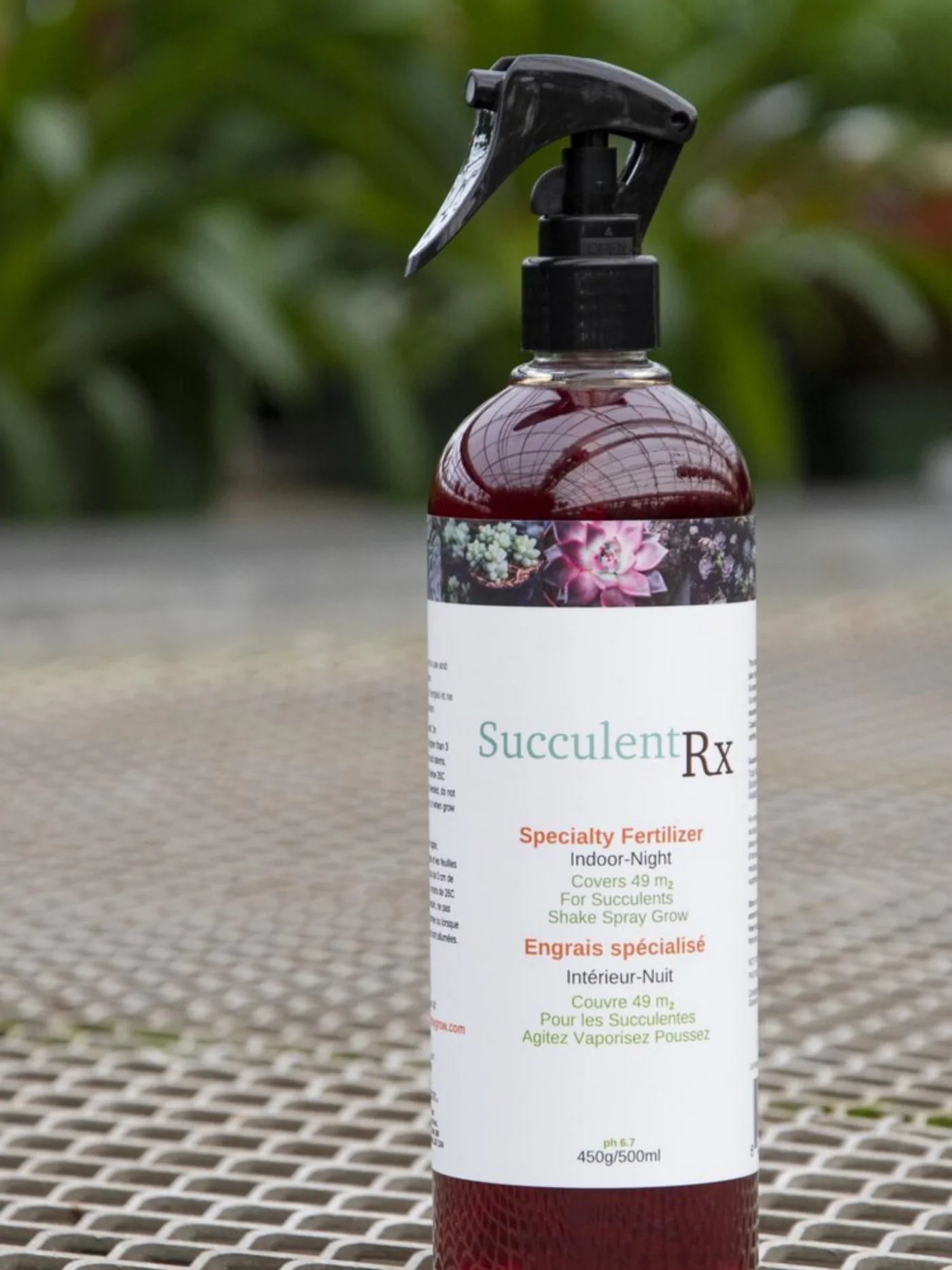 Succulent Rx Fertilizer